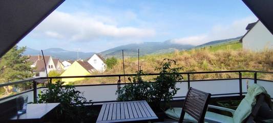 Gîte pour 3 personnes, avec vue et balcon à Sigolsheim