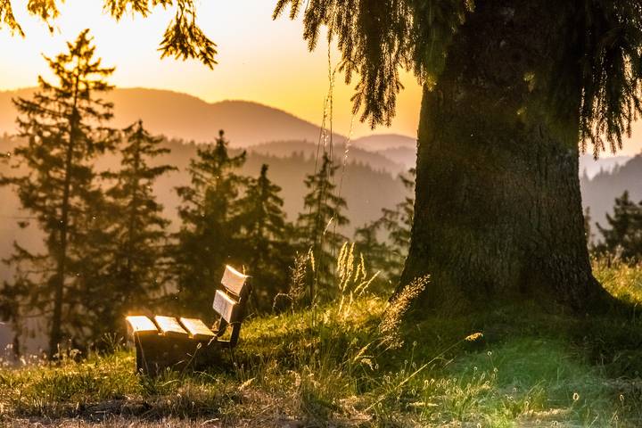 Ferienwohnung für 4 Personen, mit Balkon und Garten sowie Sauna in Höchenschwand - 3