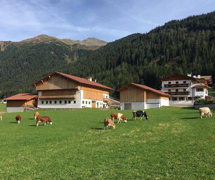 Ganze Wohnung, Ferienwohnung "Huterhof Wiesengrund 2" mit Bergblick, Balkon und Wlan in Sarntal, Sarntaler Alpen