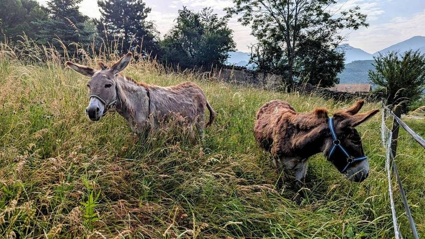 Location de vacances pour 3 personnes, avec terrasse ainsi que vue et jardin à Aspres-sur-Buëch - 4