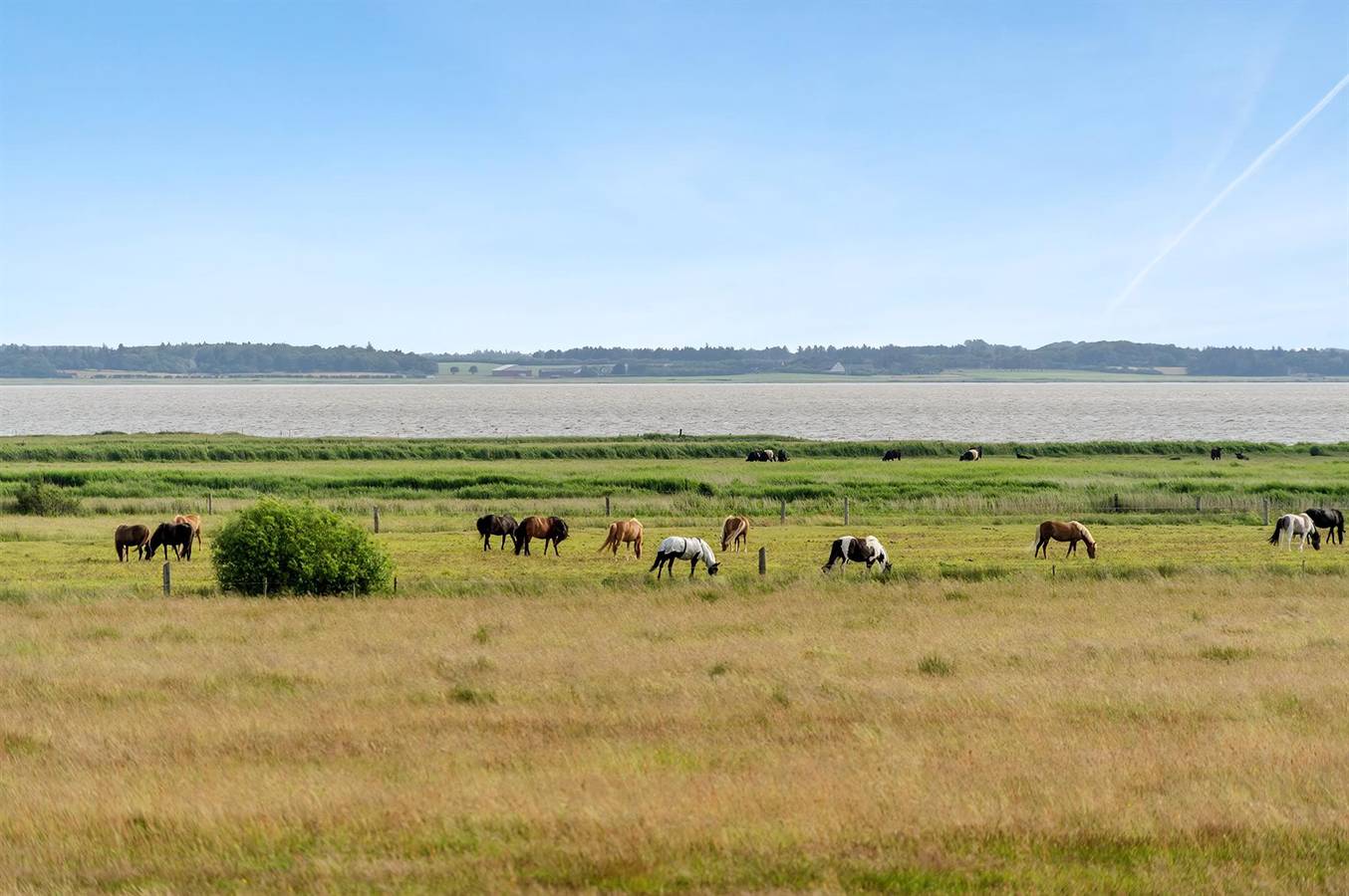 Awesome home in Blåvand w/ 3 Bedrooms and Wifi in Blavand, Varde
