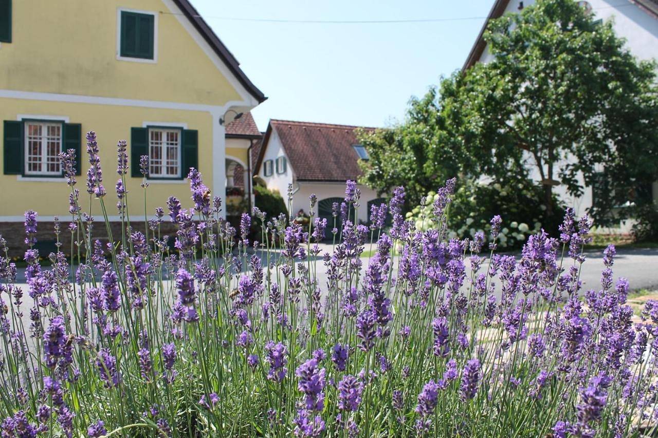 Farmer-Rabensteiner in Deutschlandsberg, Steirerland