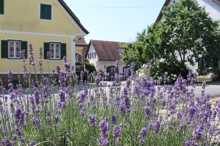 Ferienwohnung für 3 Personen, mit Garten