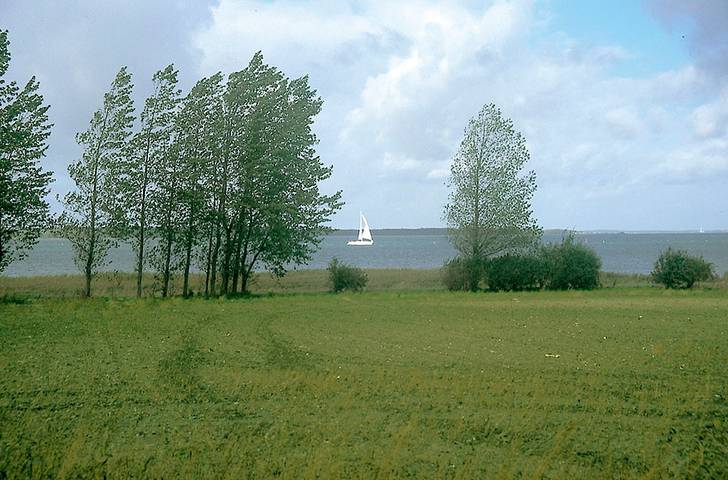 Ferienwohnung für 5 Personen, mit Garten, mit Haustier in Trent - 2