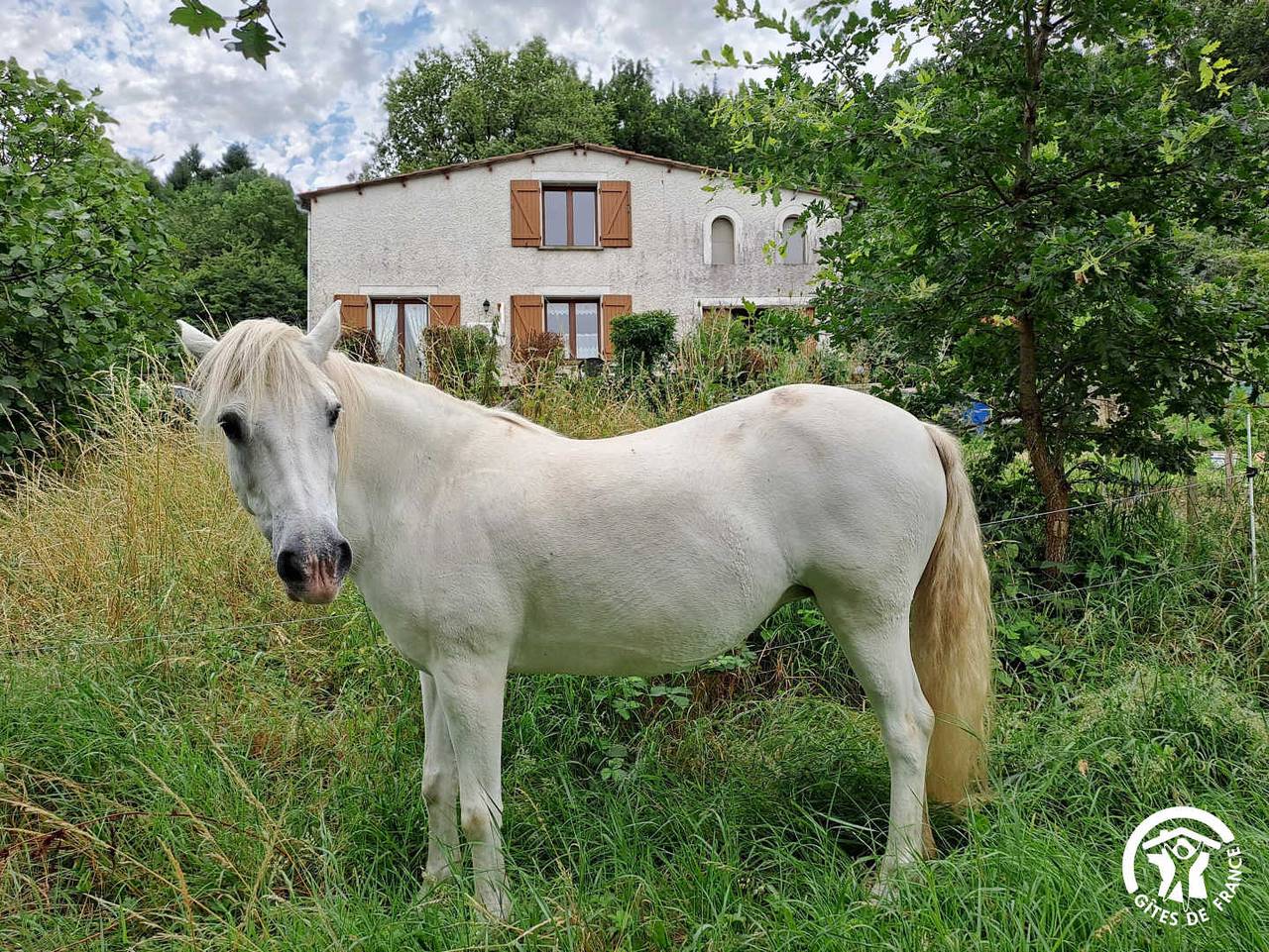 Au logis de Cantemerle in Dourgne, Région de Castres