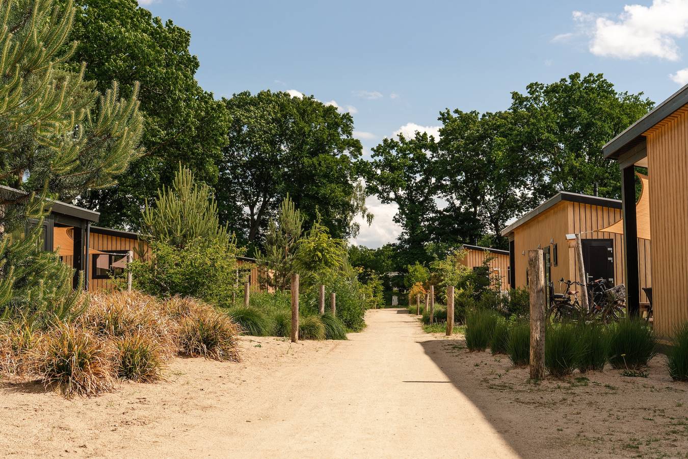 Recreatielandgoed de Ijsvogel — Zand Lodge | 4 Pers. in Veluwe