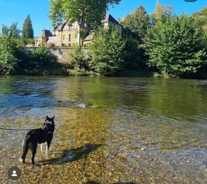 Location de vacances pour 9 personnes, avec Terrasse ainsi que Jardin et Vue à Haulmé - 4