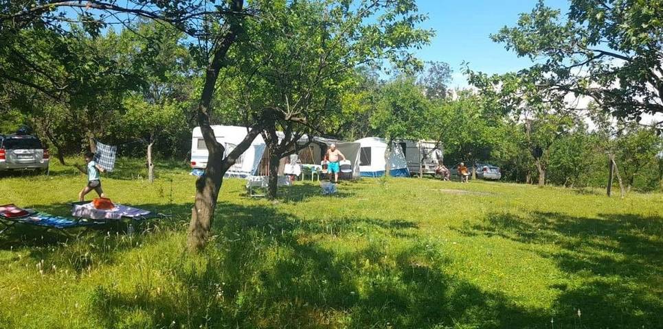 Location de vacances pour 4 personnes, avec terrasse ainsi que vue et jardin, animaux acceptés en Roumanie - 4