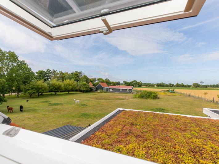Ferienhaus für 4 Personen, mit Terrasse, mit Haustier in Koudekerke - 3