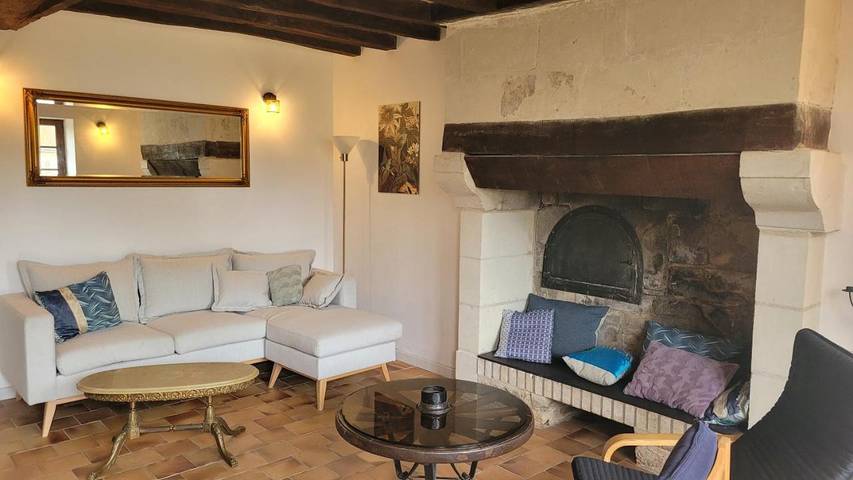 Location de vacances pour 8 personnes, avec terrasse ainsi que piscine et jardin, animaux acceptés à Parçay-les-Pins - 4