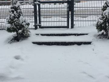 Ferienwohnung für 5 Personen in Worpswede, Metropolregion Bremen-Oldenburg, Bild 1