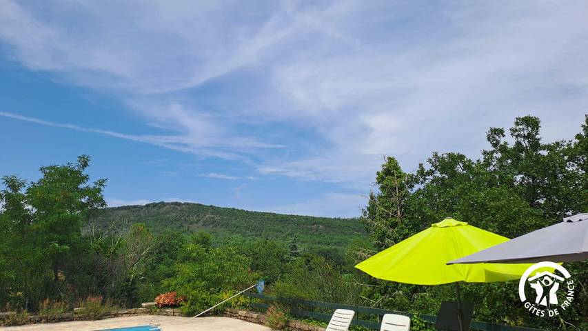 Gîte pour 11 personnes, avec terrasse et piscine à Milhars - 4