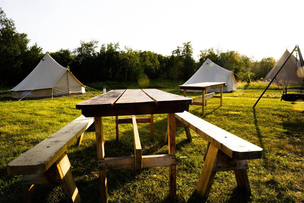 Glampnord in Bodø