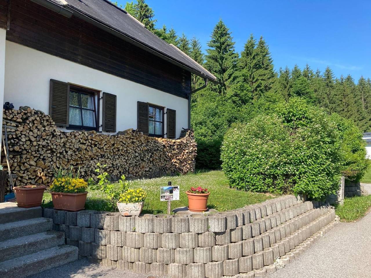 Ganze Wohnung, Buche in Karawanken und Bachergebirge, Feistritz im Rosental