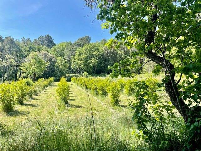 Chambre d’hôte pour 2 personnes, avec jardin dans le Gard - 3