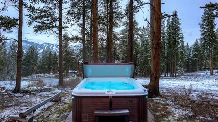 Vacation Home for 12 Guests in Breckenridge, Summit County, Picture 3