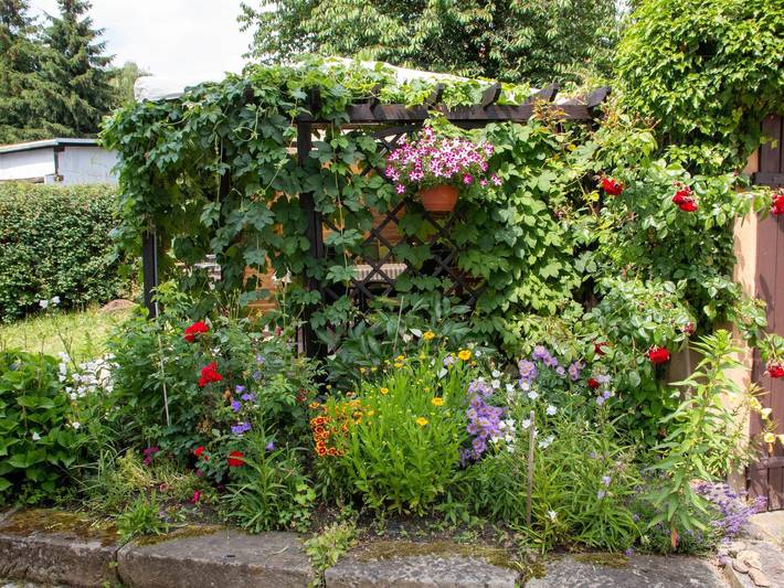 Ferienhaus für 6 Personen, mit Terrasse im Zittauer Gebirge - 3