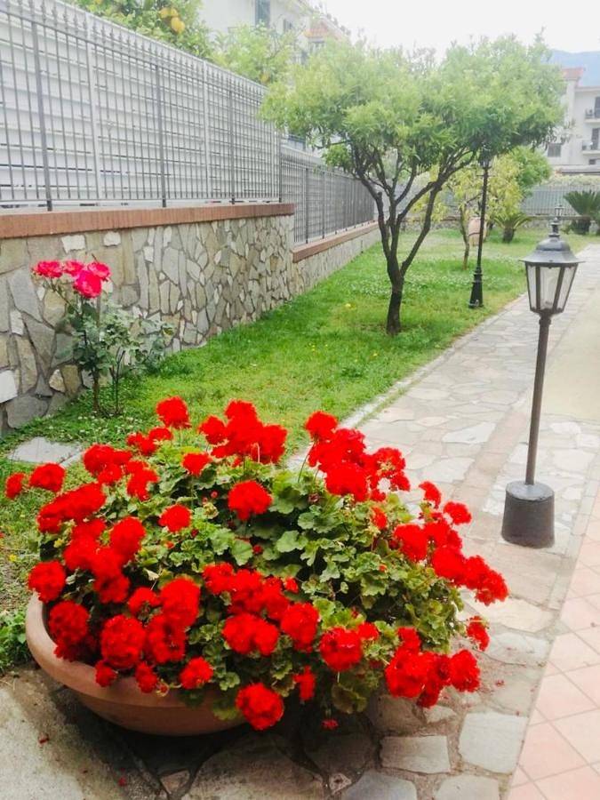 Chambre d’hôte pour 2 personnes, avec vue et jardin dans Sant'Anastasia - 2