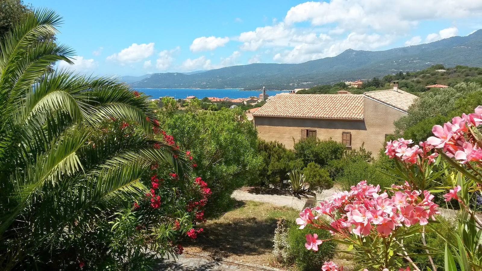 Apartamento entero, Apartamento de vacaciones T2 con vistas al mar, piscina compartida y terraza privada in Propriano, Distrito de Sartène