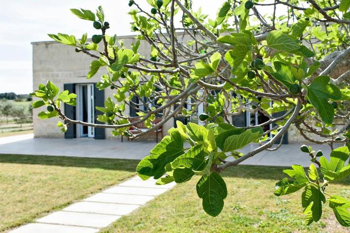 Maison d’hôte pour 10 personnes, avec jardin et vue, animaux acceptés à Torre Dell'orso - 2
