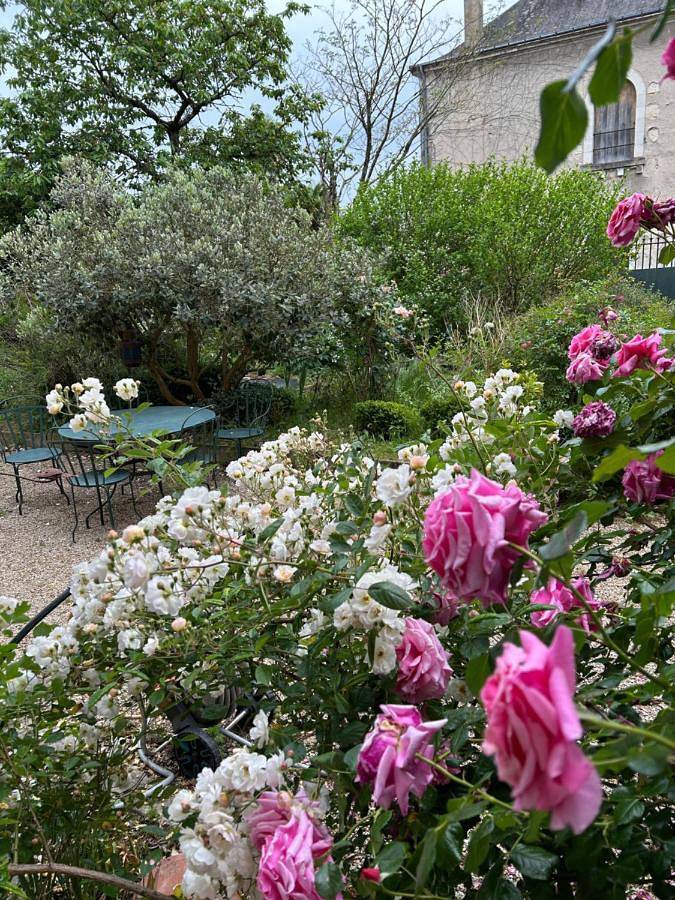 Demeure Le Ragois de Bretonvilliers - un voyage au cœur du temps - Richelieu in Richelieu, Parc naturel régional Loire-Anjou-Touraine