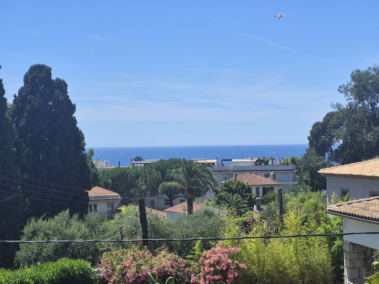 Villa Coppelia in Cannes, Côte méditerranéenne (France)