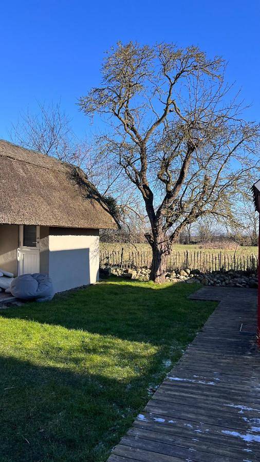 Ferienhaus für 14 Personen, mit Sauna und Ausblick sowie Garten, mit Haustier in Puttgarden - 4