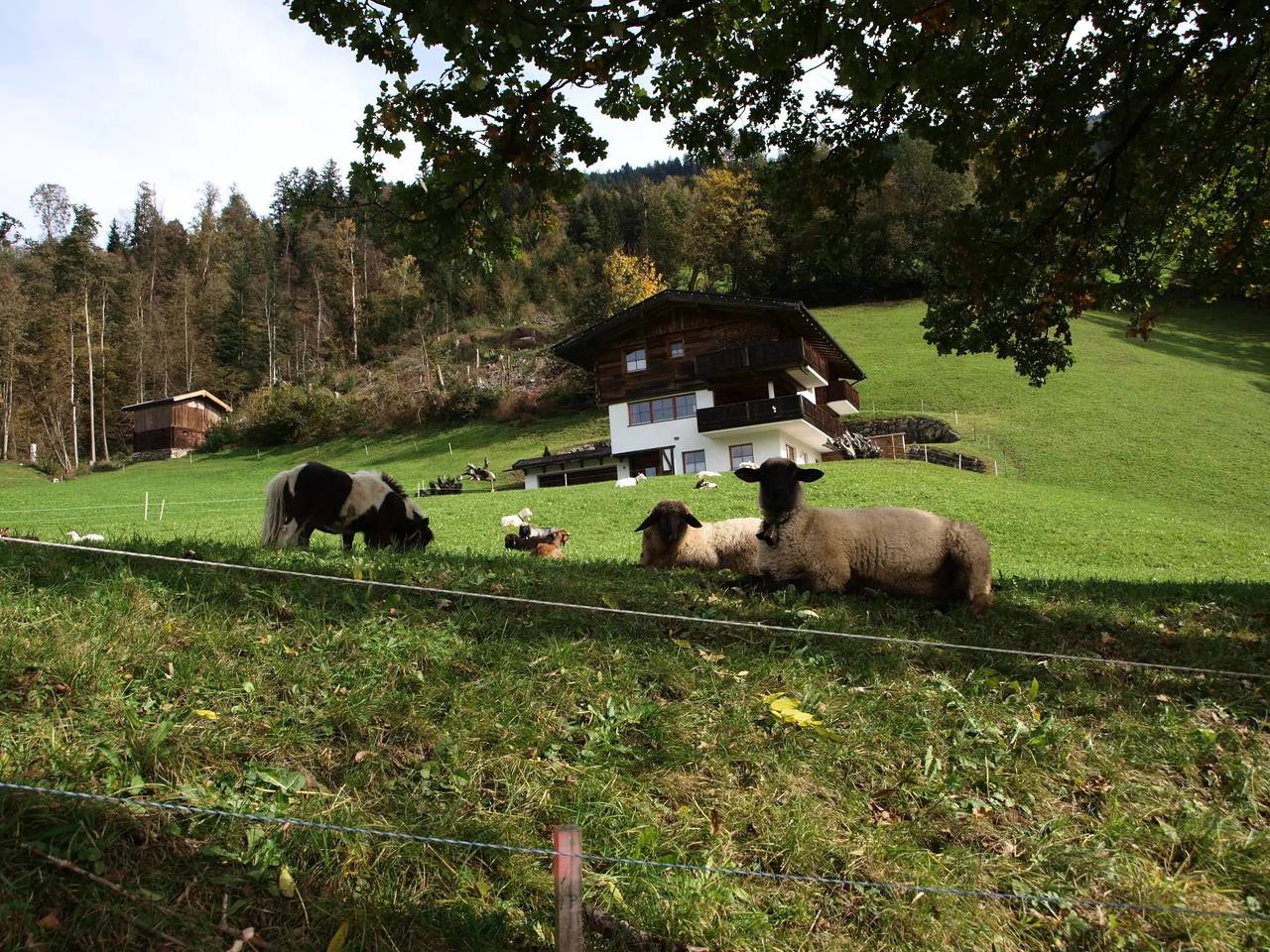 Casa 8 Personas in Hart im Zillertal, Ski-Optimal Hochzillertal