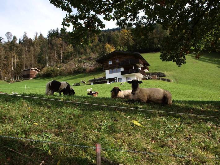 Villa für 8 Personen, mit Garten in Tirol - 4