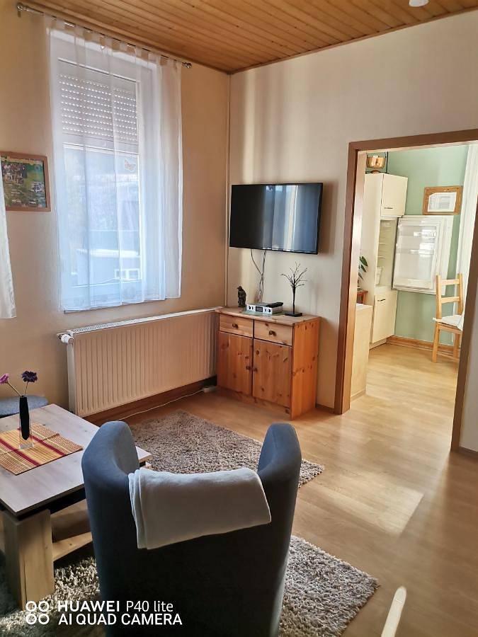 Ganze Wohnung, One-Bedroom Apartment in Stützerbach, Rennsteig