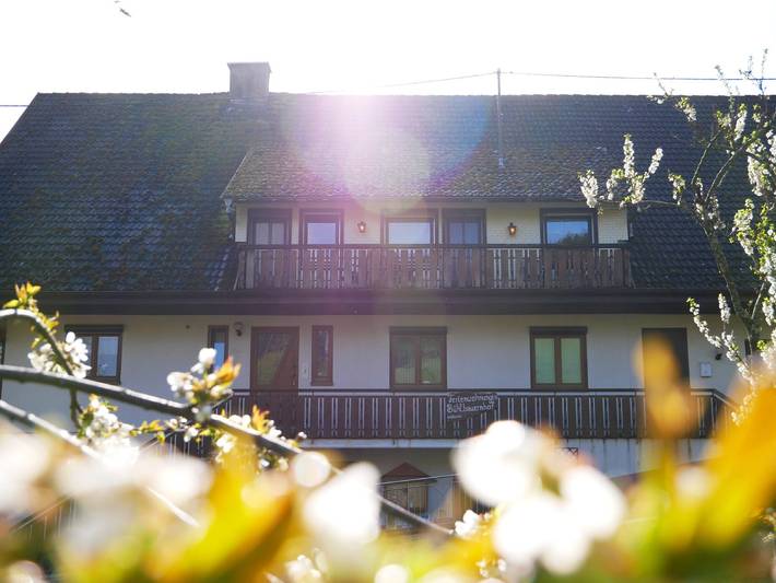 Ferienwohnung für 4 Personen, mit Balkon und Garten in Bad Peterstal-Griesbach