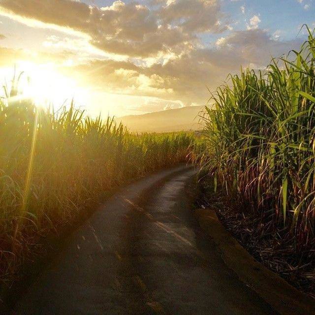 Location de vacances pour 4 personnes, avec vue et jardin à Sainte-Suzanne - 2