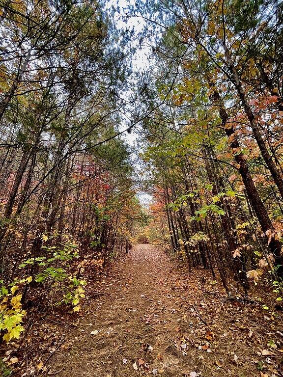 Luxury Tiny House with Treehouse Bedroom and Hottub on 34acres secluded in Monroe County (TN)