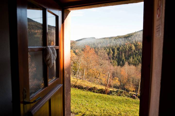 Gîte pour 14 personnes, avec terrasse et jardin dans le Haut-Rhin - 3