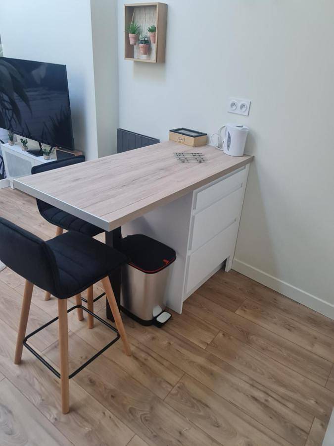Appartement entier, One-Bedroom Apartment in Roche-la-Molière, Loire