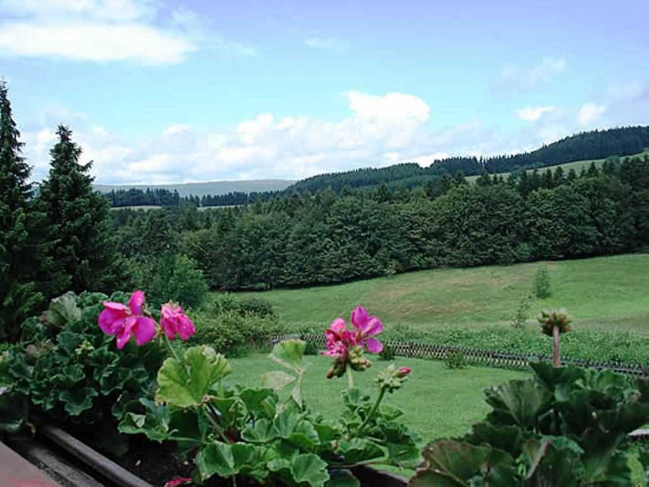 Ganze Ferienwohnung, Haus Panorama in Sankt Andreasberg, Braunlage