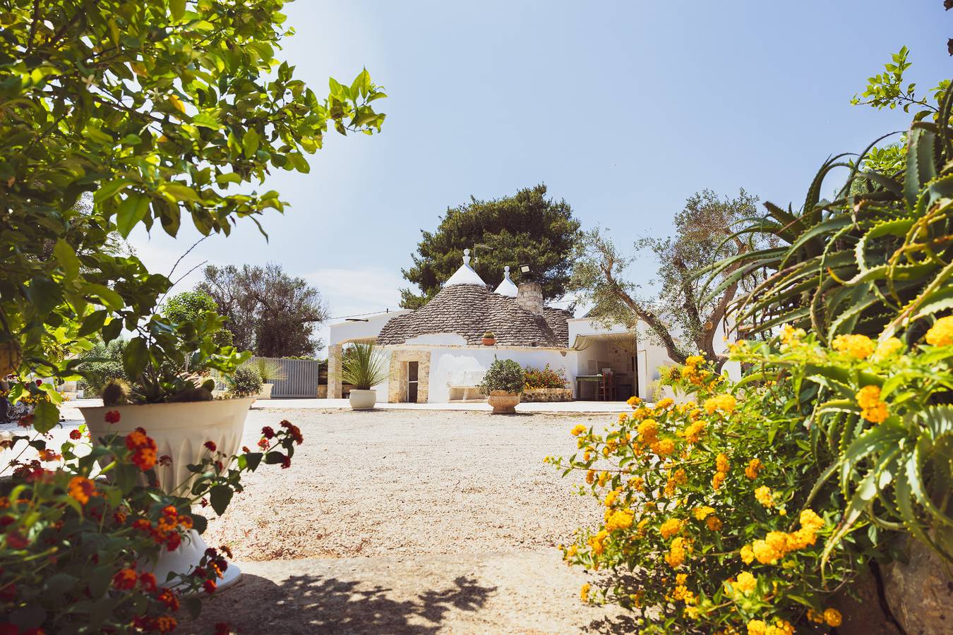 Borgo della mimosa in San Michele Salentino, Salento