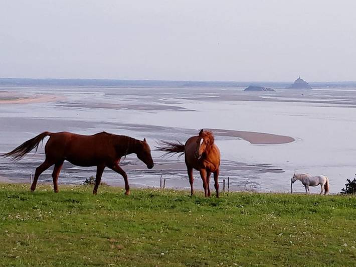 Maison de vacances pour 6 personnes, avec vue et jardin, animaux acceptés