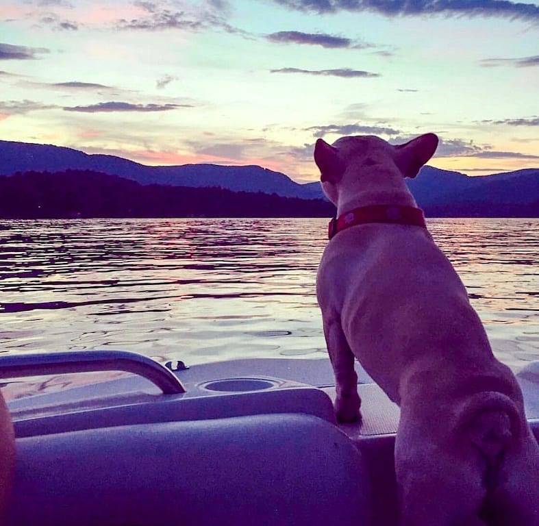 Wunderschöne Mountain Estate mit spektakulärem See und die Berge !!!!! in Lake Toxaway