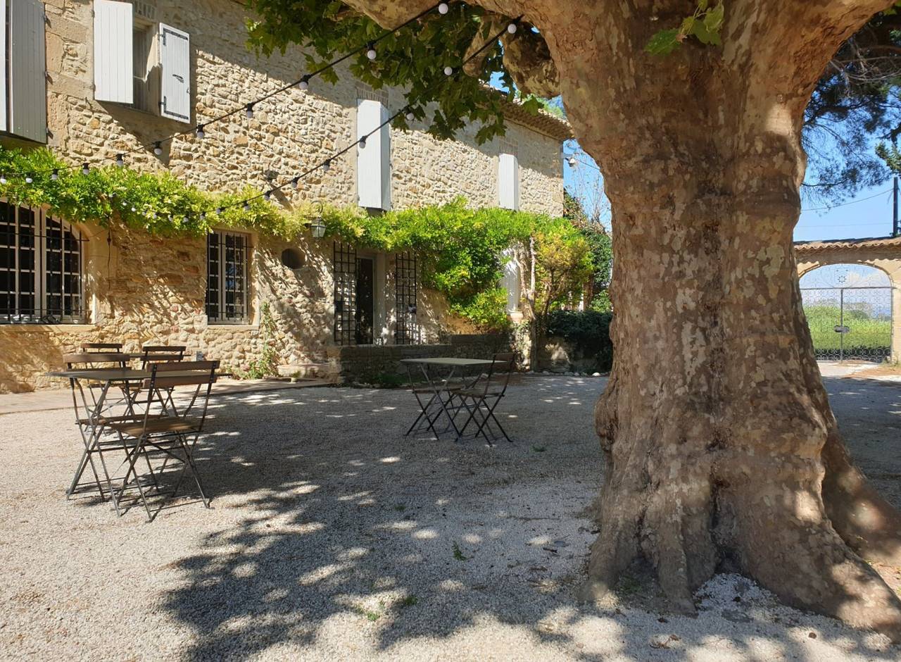 Chambre et table d'hôtes Mas du Récati - bonheur in Caderousse, Vaucluse
