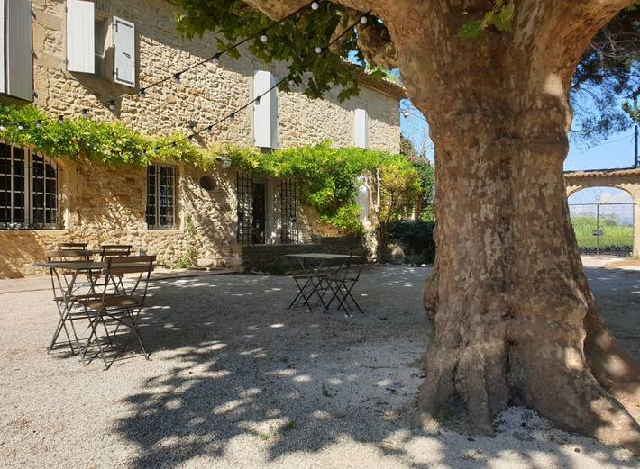 Location de vacances pour 2 personnes, avec piscine et jardin, animaux acceptés à Caderousse - 2