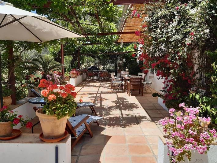 Casa rural para 8 personas, con jardín además de piscina y vistas en Olvera - 3