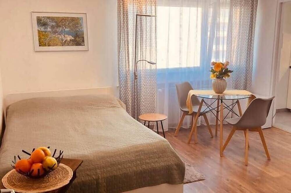 Entire apartment, Superbe Studio: Basel-Tram-Bus Airport Ch/Fr/De in Saint-Louis, Mulhouse region