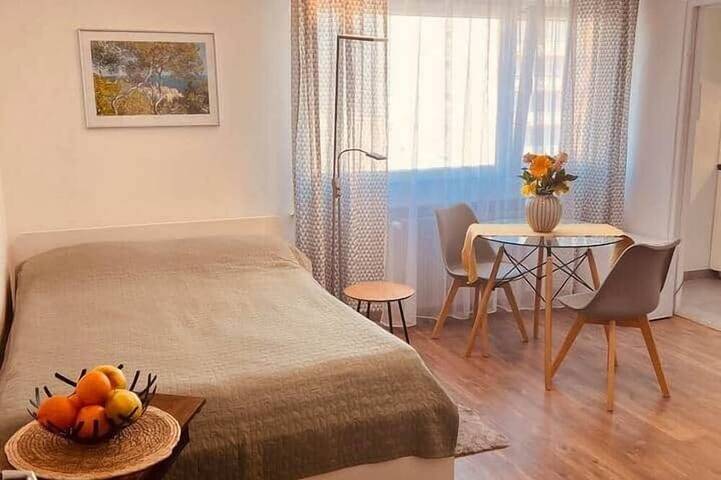 Appartement entier, Studio near Messe Basel/ Euroairport/ De/Fr in Saint-Louis, Région de Mulhouse