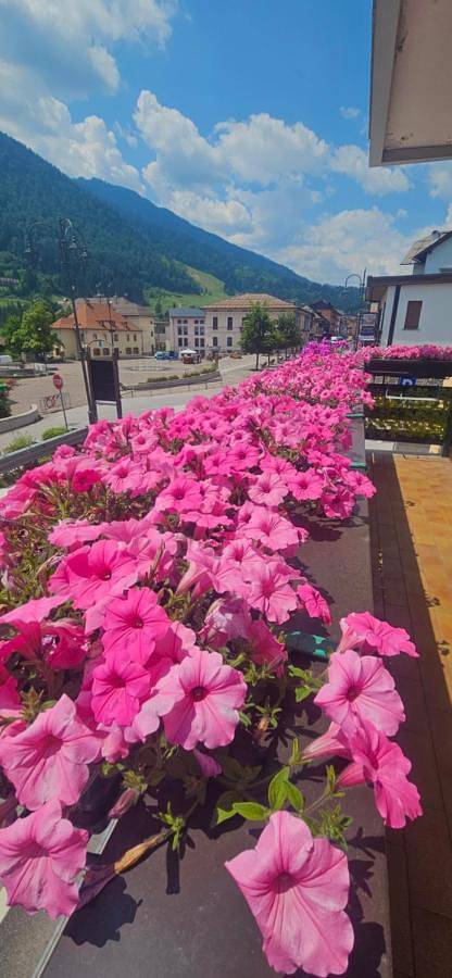 Affittacamere Fiocco di Neve in Tarvisio, Karnischer Hauptkamm