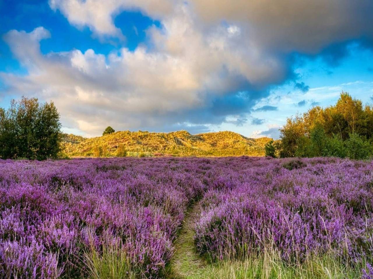 Luxurioses Refugium auf Romo -- By Traum Ferienwohnungen in Sønderstrand, Tagholm