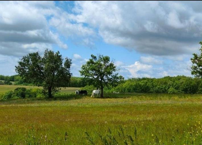 Location de vacances pour 4 personnes, avec vue et jardin à Saint-Cyprien (Lot) - 4