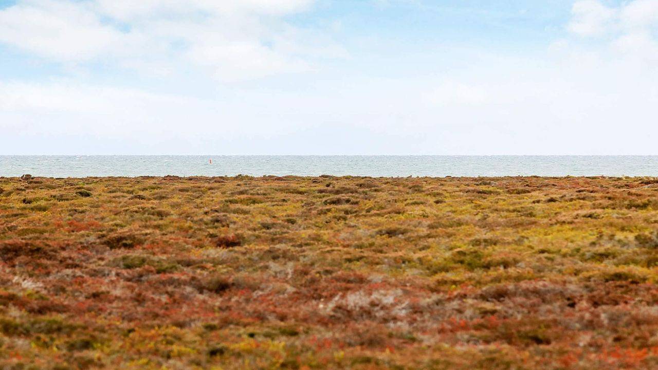 Ferienhaus für 6 Personen (89 m²) in Læsø in Østerby (Læsø), Læsø