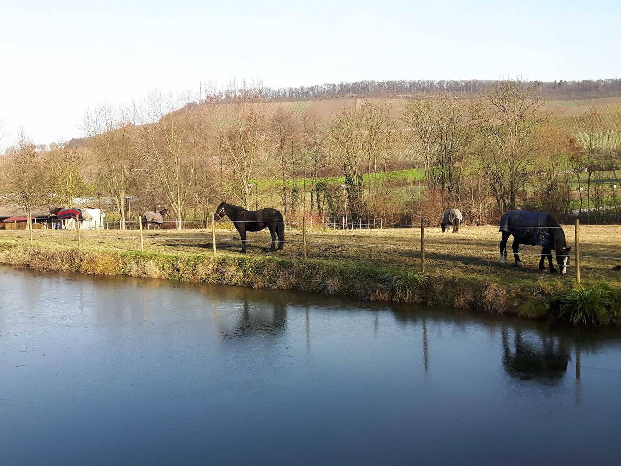 Ganze Ferienwohnung, Ferienwohnungen am Nonnenbach - Ferienwohnung 1 in Obersulm, Kurpfalz