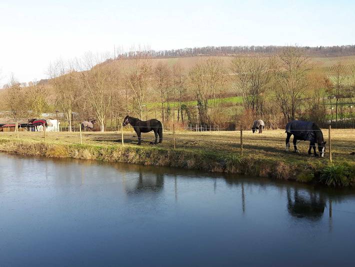 Ganze Ferienwohnung, Ferienwohnungen am Nonnenbach - Ferienwohnung 3 in Obersulm, Kurpfalz